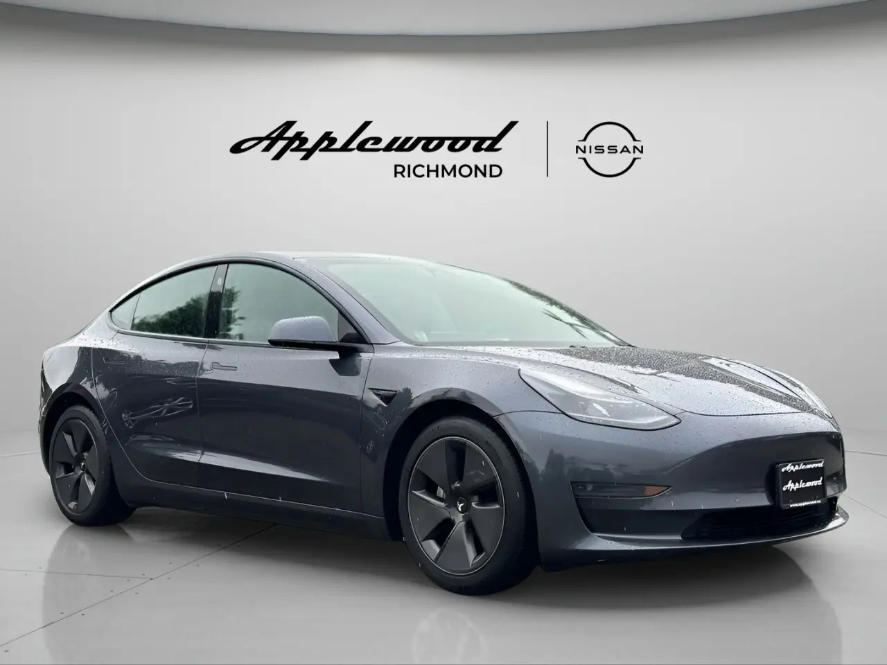 2021 Tesla® Model 3 Alcance Estándar Plus Traction Trasera64118790253953126