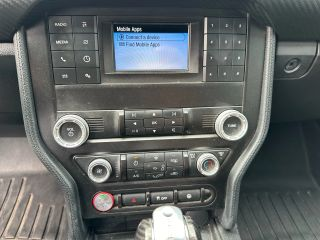 2019 FORD MUSTANG63289822394115124