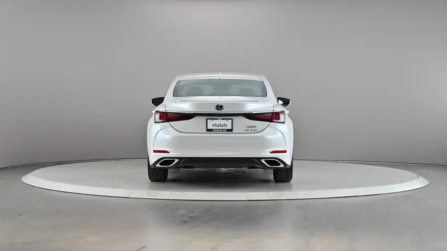 2020 Lexus ES64157208771073124