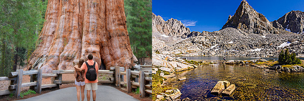 <2 días> [San Francisco ida y vuelta | Serie de fin de semana corto | Grupo de 2 personas] Parque Nacional Yosemite + Parque Nacional Kings Canyon y Sequoia para ver secuoyas (incluye desayuno)