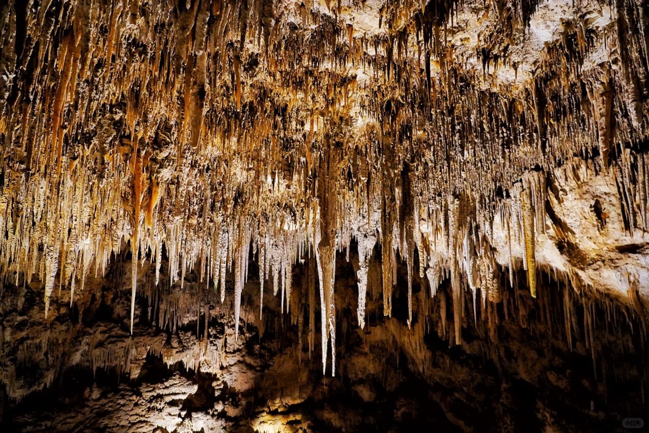 <1 día> [Grupo pequeño de 2-14 personas | Viaje mágico y espectacular] Excursión de un día por Virginia · Paisajes del cielo + Parque Nacional Shenandoah + Grutas singulares de Virginia64119058077314120