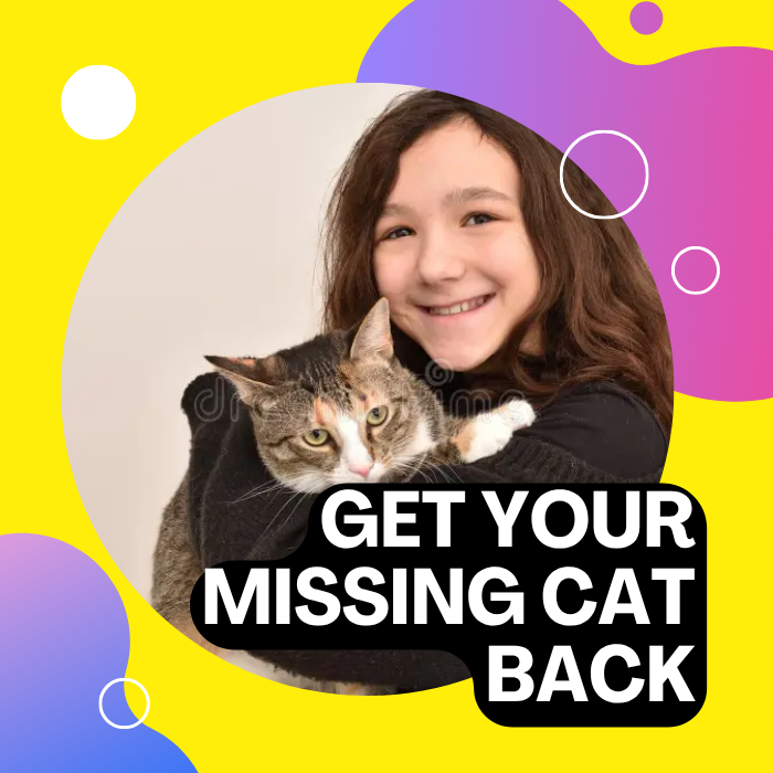 About your missing kitty408580971887349760