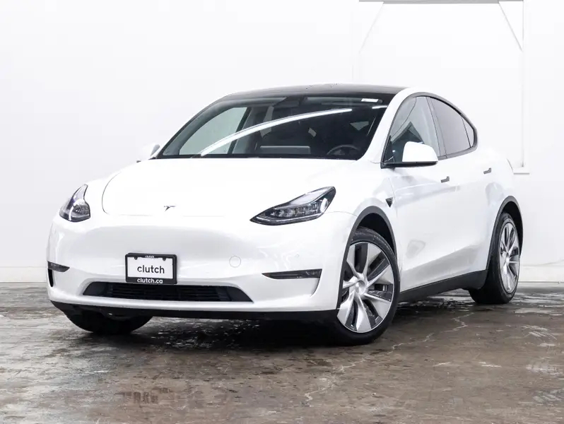 2021 Tesla Model Y64497589024898121