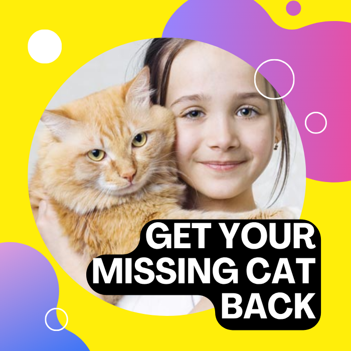 Recupera a tu gato perdido407680058267412480