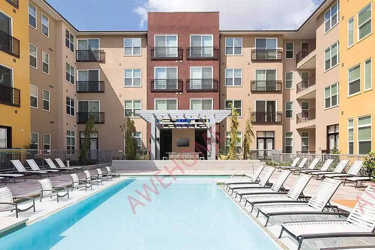 Griffis at the Domain 29963667693742467120