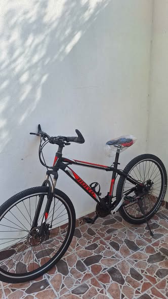 Bicycle65029283999106121