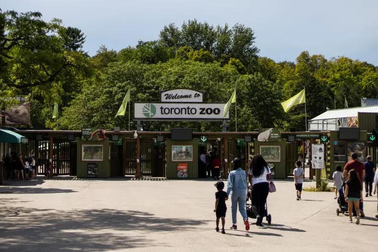 Toronto Zoo Adult Ticket63601399439233120