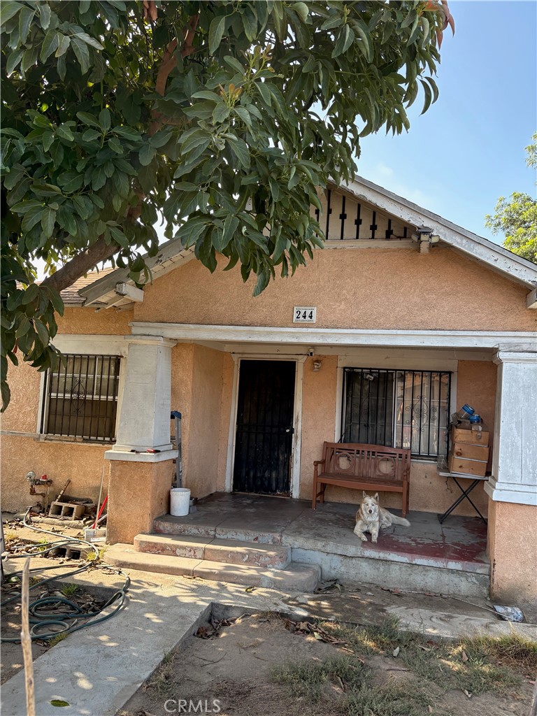 244 E 43rd Place, Los Angeles CA, 9001163768949173123120