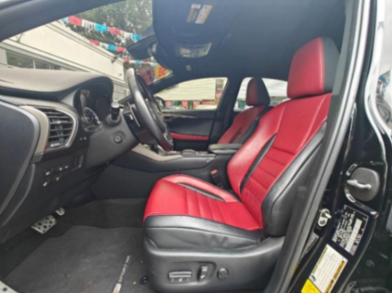 2020 LEXUS NX 300 F SPORT COMFORT63332778311043121