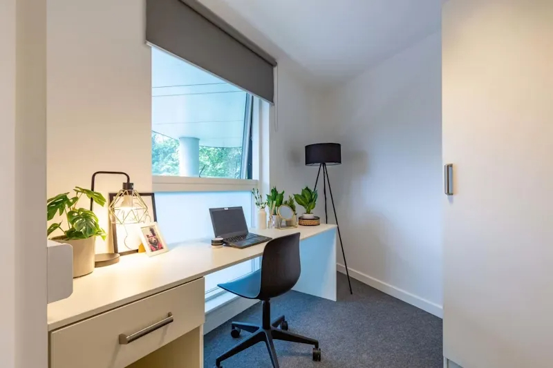 Hollingbury House - Habitación Estándar Grande con Baño Privado en Withdean
