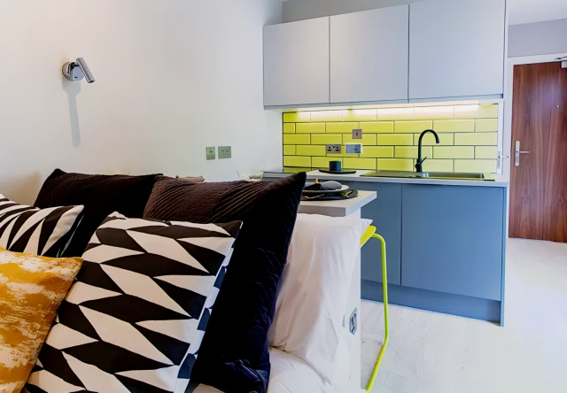 Bronze Studio (Singled Bed) Lit Seven Sisters, London