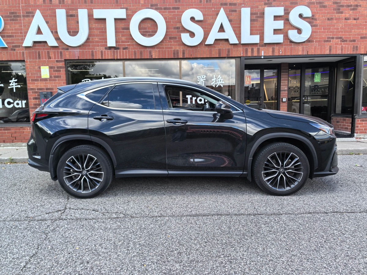 ﻿2022﻿ ﻿Lexus﻿ ﻿NX﻿ ﻿Premium64146572650369123