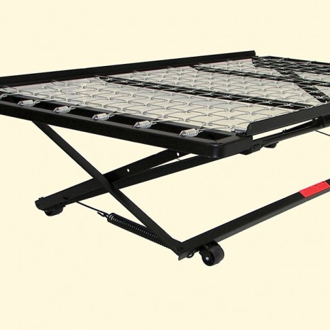 Framos64696912475266120