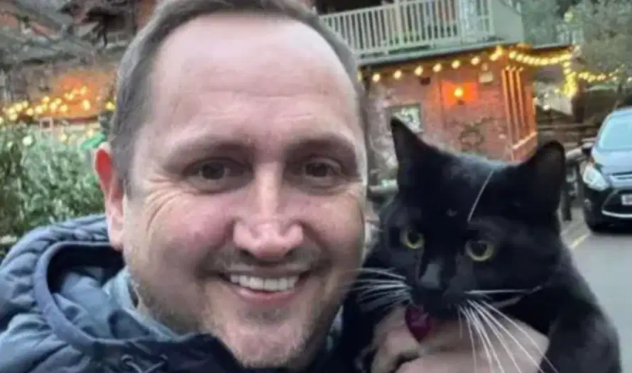 Bring Kitty Back410725330044200962