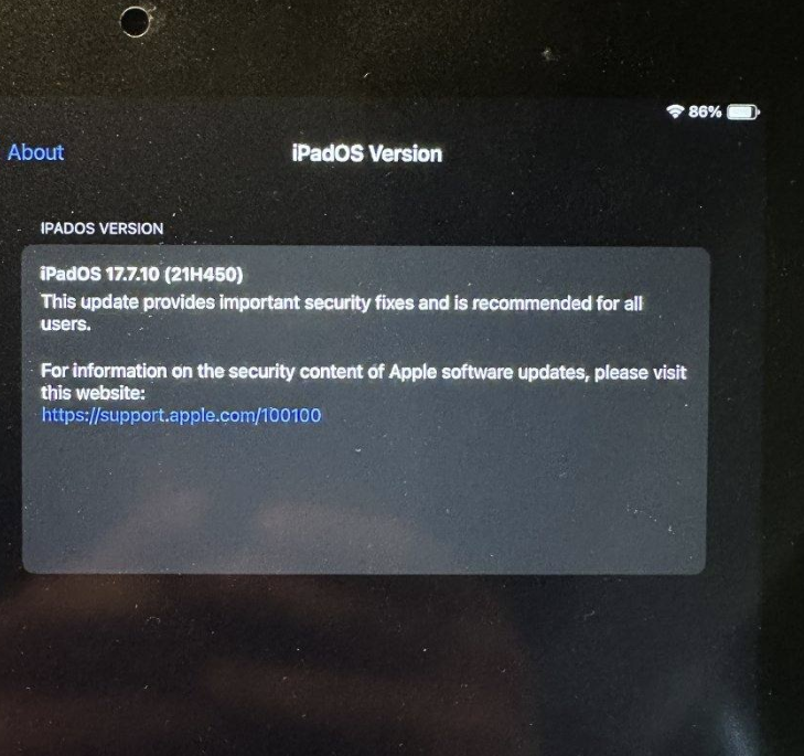 Apple Ipad Pro (12.9 inch 2nd Gen) 256 GB - Excellent Condition