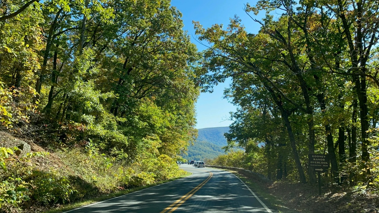 <1 día> [Grupo pequeño de 2-14 personas | Viaje mágico y espectacular] Excursión de un día por Virginia · Paisajes del cielo + Parque Nacional Shenandoah + Grutas singulares de Virginia64119058077314121