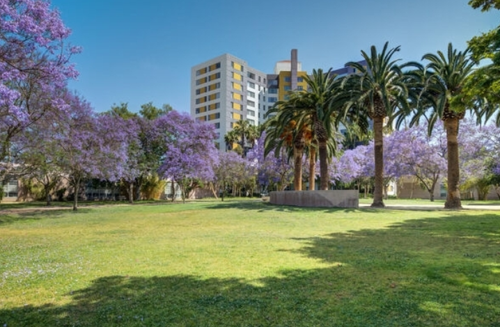 Park LA Brea63880264226691120