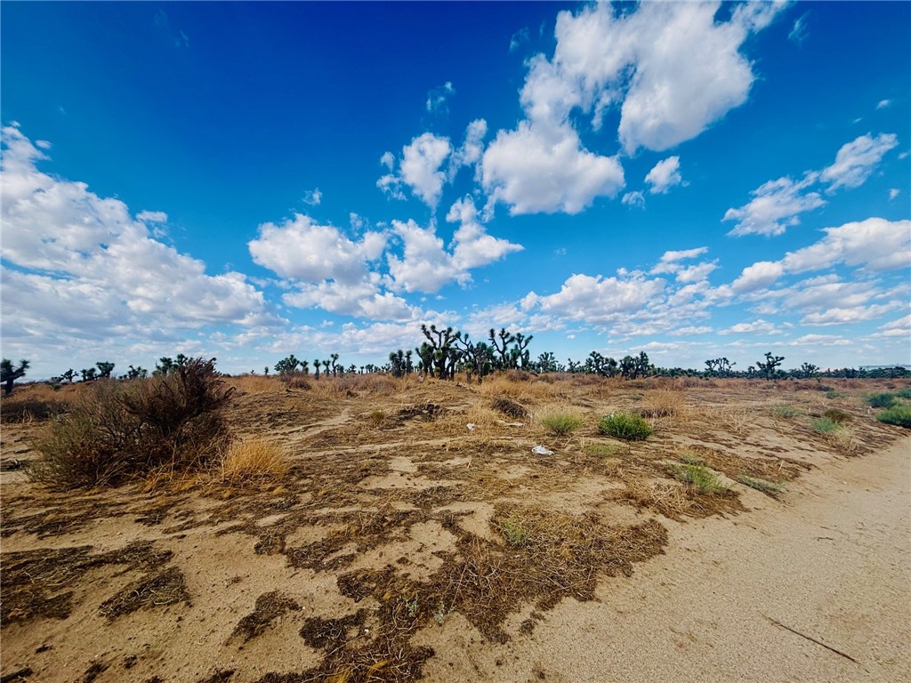 0 VIC Ave. M12 5th St. West, Palmdale CA, 9355063865547432195120