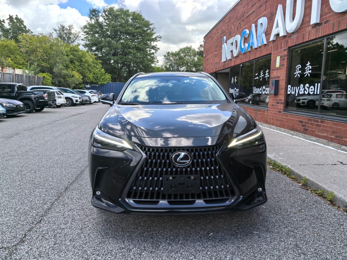 2022 Lexus NX Premium64146572650369121