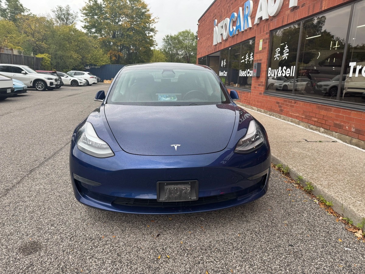 ﻿2019﻿ ﻿Tesla﻿ ﻿Model 3﻿ ﻿Standard Range Plus64135495497475120