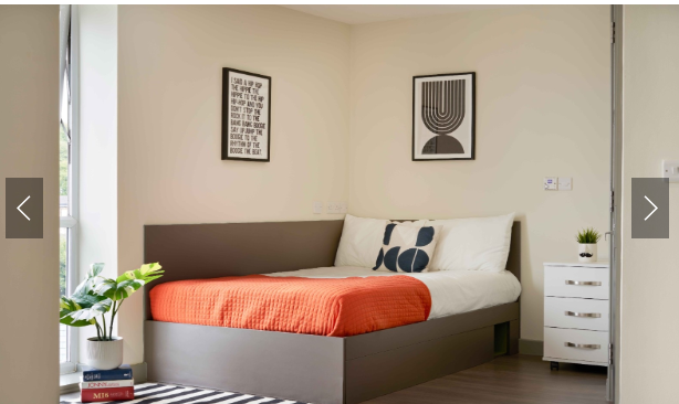 Saw Mill64594529769603121