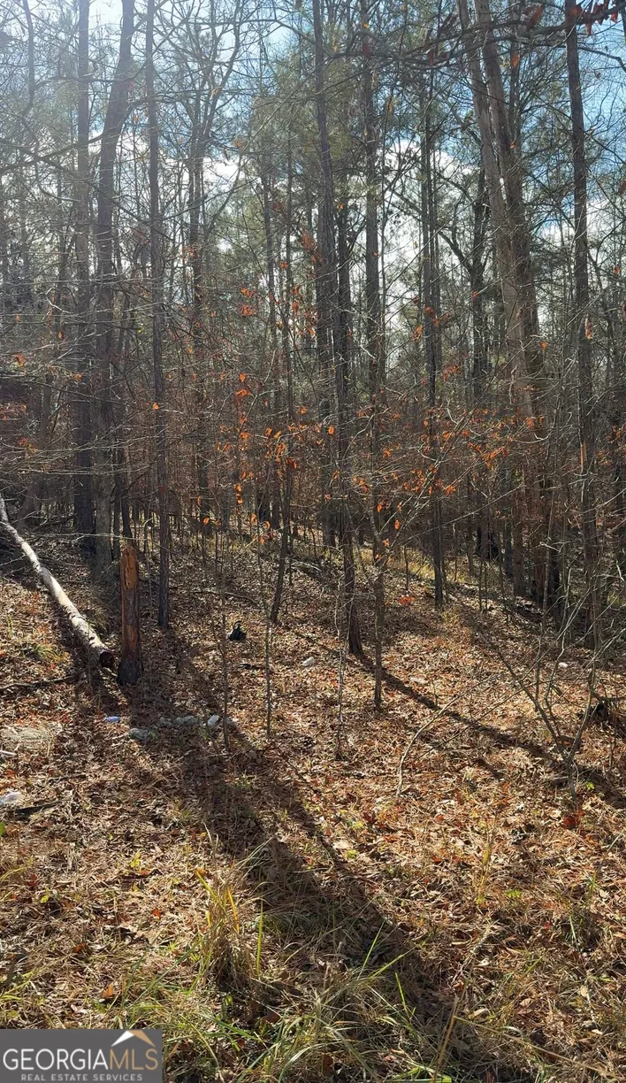 LOTE 182 Bluegill Rd