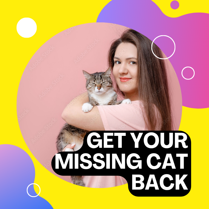 Ese gato desaparecido está listo para regresar411117237809326080