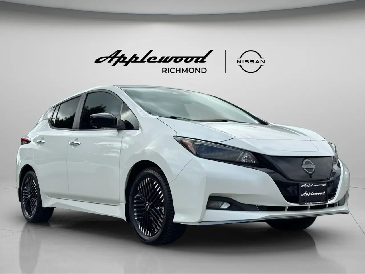 2023 Nissan® LEAF SV PLUS64113494881154126