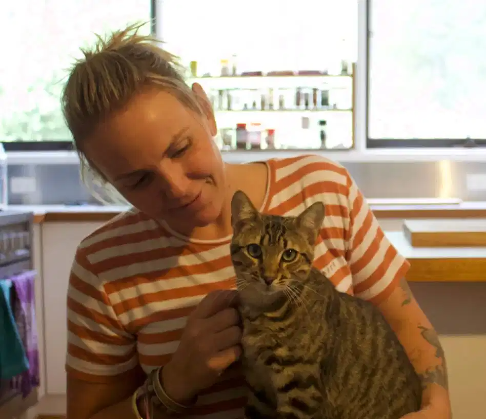 Get Your Cat Home410694832284641281