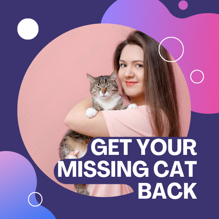 ¿Tiene un gato fugitivo?
