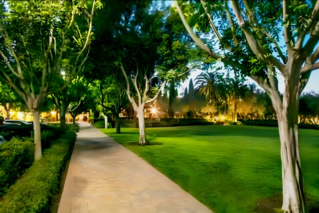 Newport Bluffs63399612438147121