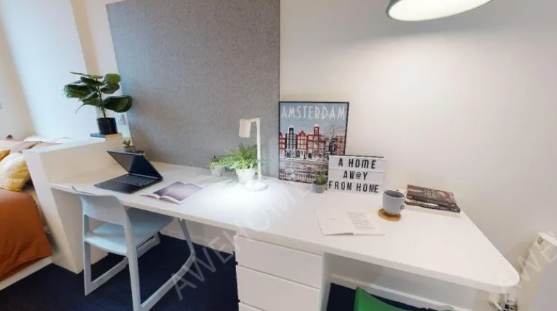 iQ Brighton - Estudio Ahorrador