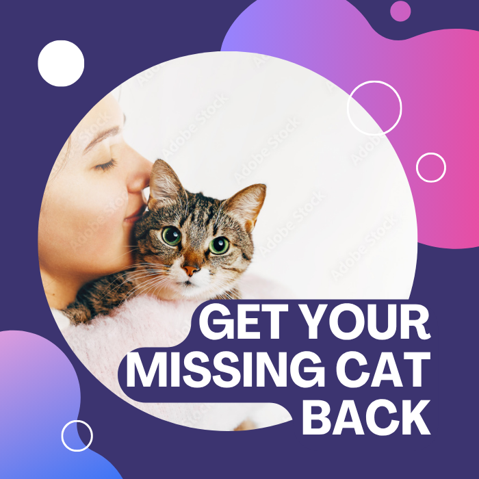 Recupera a tu gato perdido406761463381370880