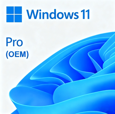 Licencia permanente de Windows 11 Professional (OEM)