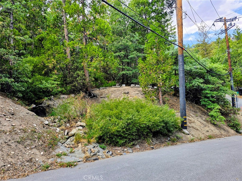 0 Zurich Drive Lake Arrowhead CA, 9235264595104979969122