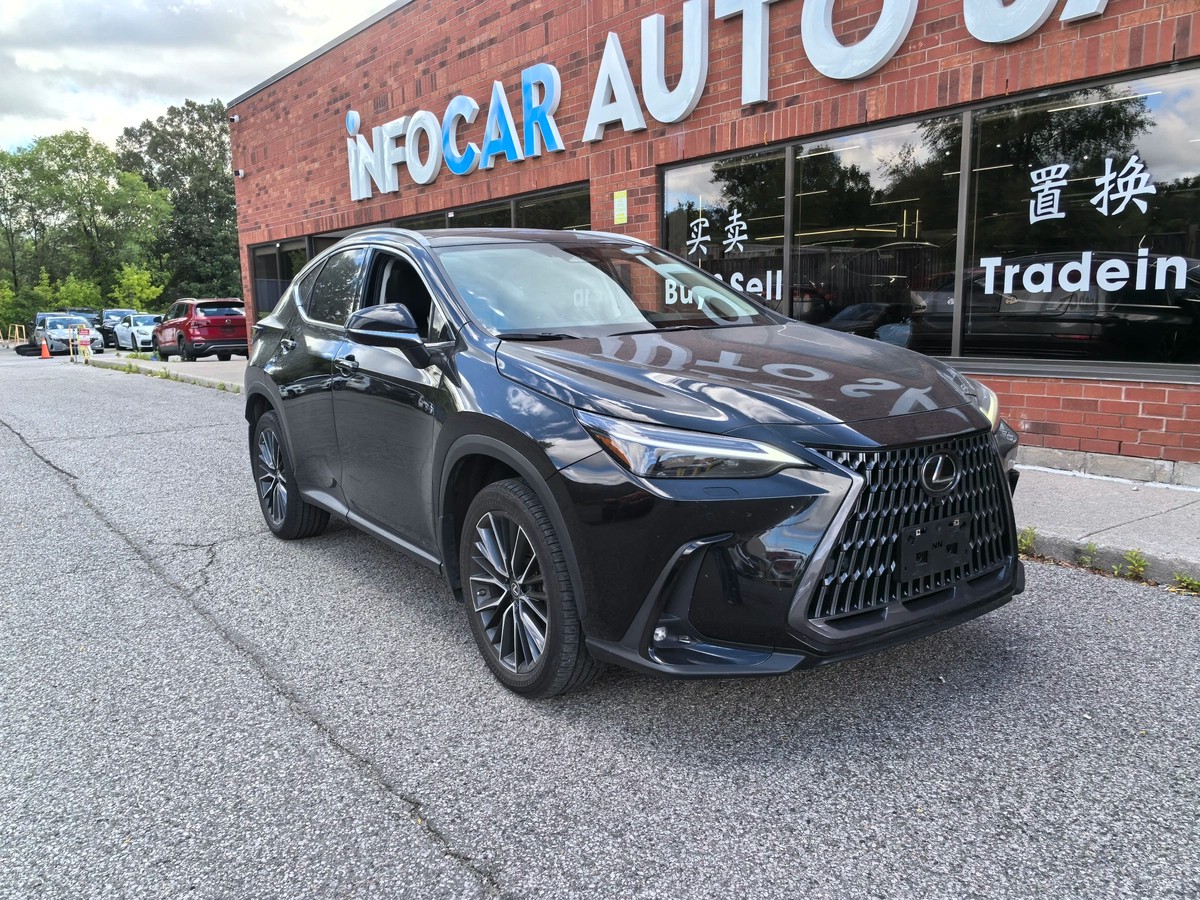 ﻿2022﻿ ﻿Lexus﻿ ﻿NX﻿ ﻿Premium64146572650369122