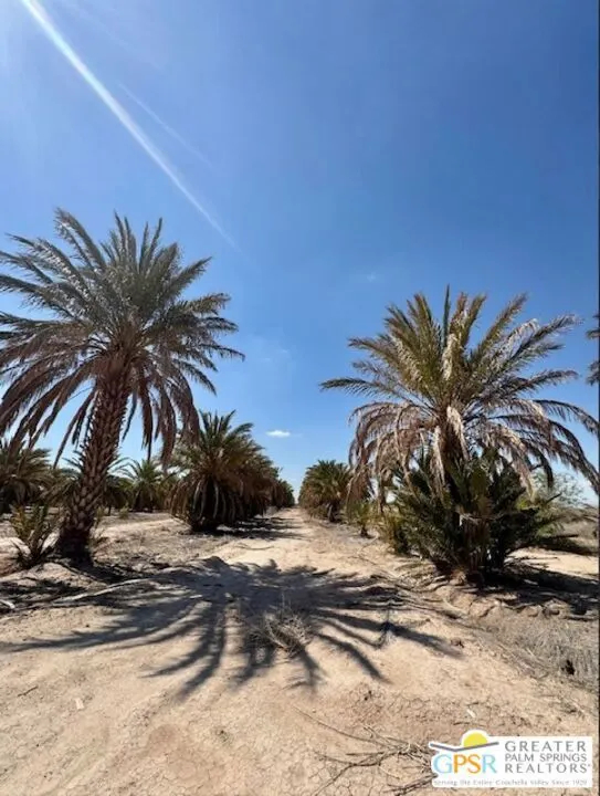 0 Noffsinger, Niland, CA