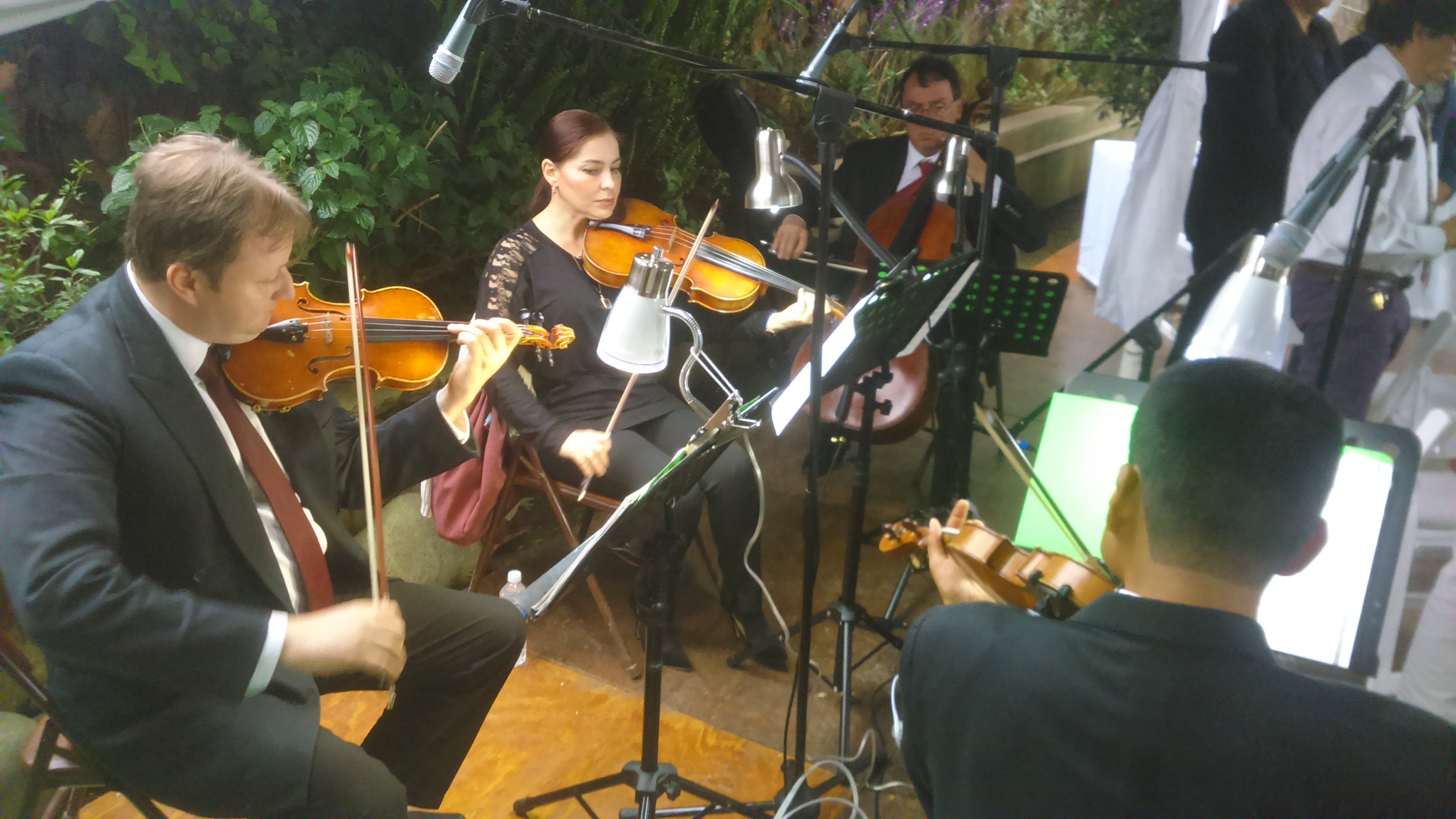 Violin Music for Weddings64988479967618125