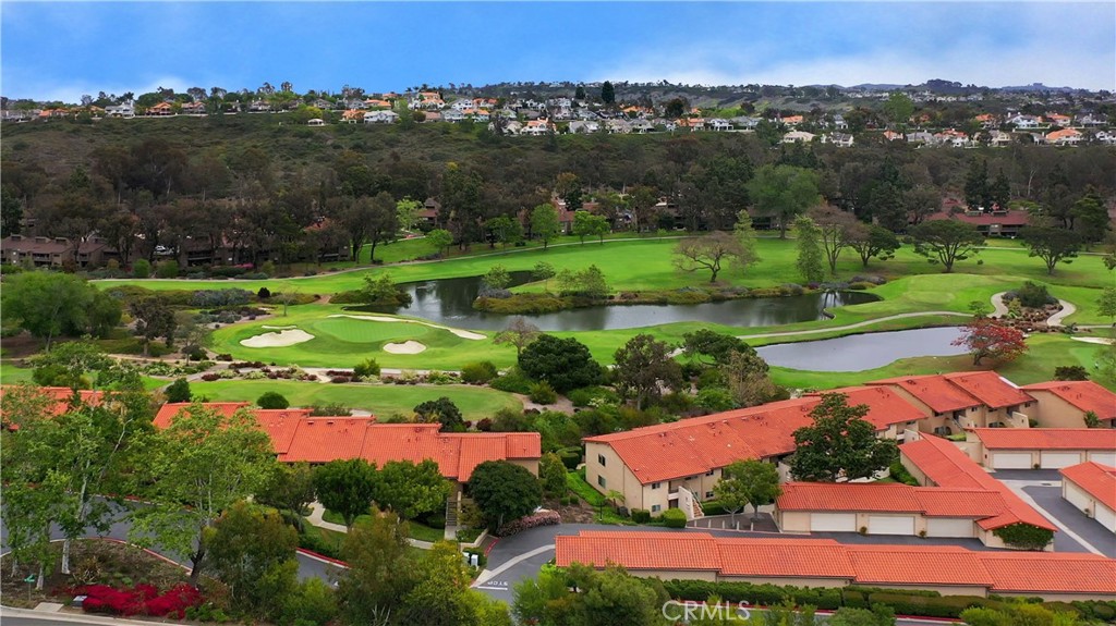 31654 W Nine Laguna Niguel CA, 9267764122153419651120