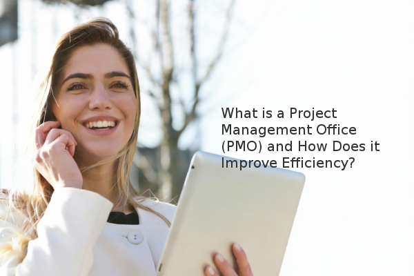 What is a Project Management Office (PMO) and How Does it Improve ...