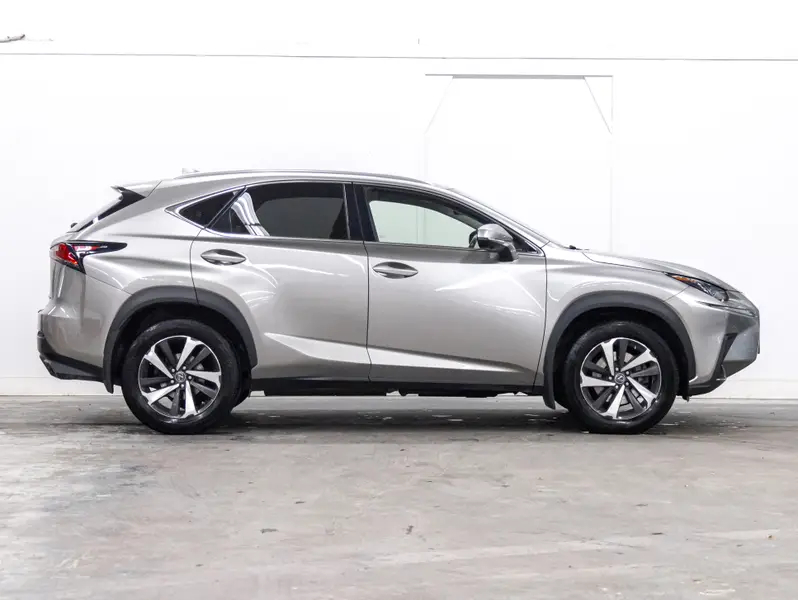 2020 Lexus NX64555761318019122