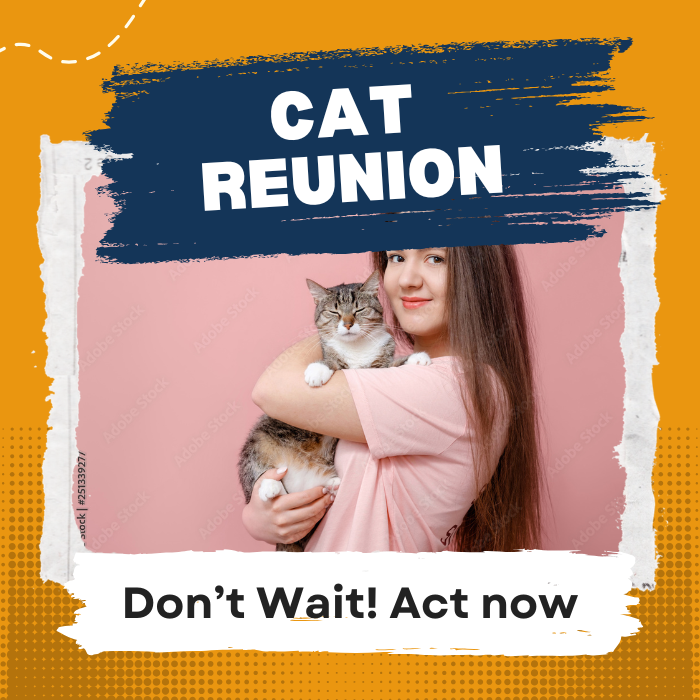 Get your missing cat back408570685346304000